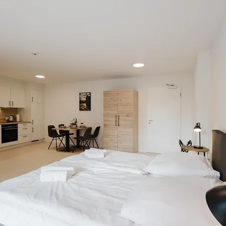Innsight Appartementhaus - Mit Küchen Für Lang Und Kurzzeitaufenthalte 3* Passau